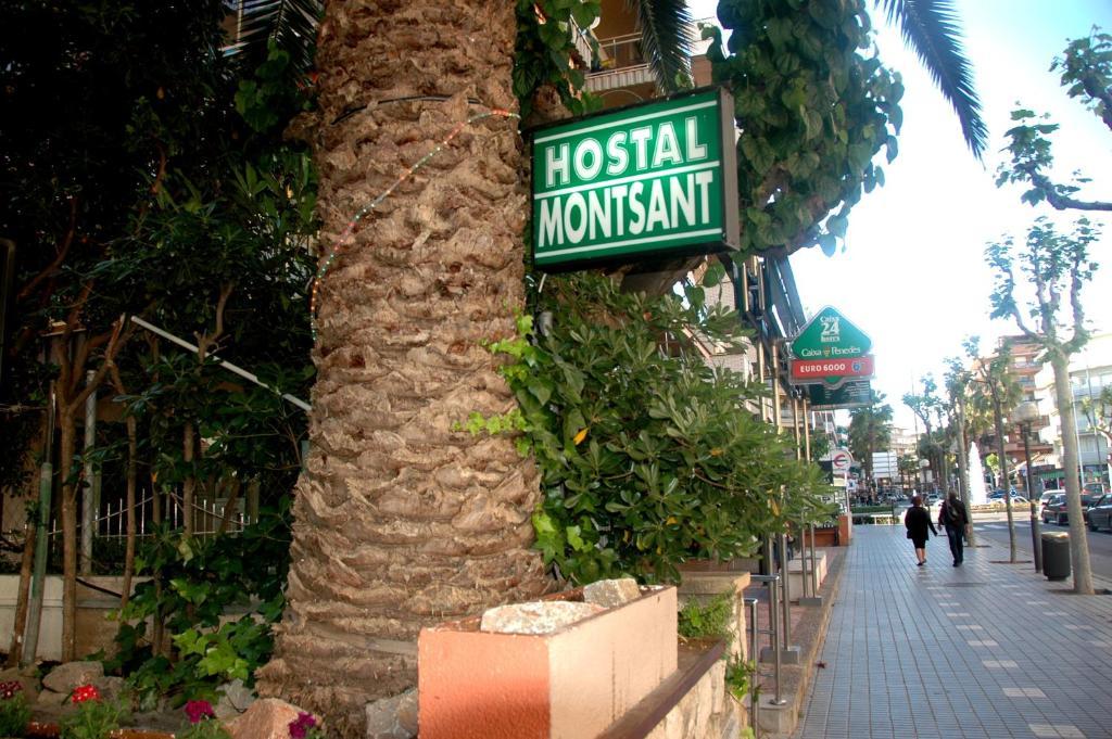 סאלו Hostal Montsant מראה חיצוני תמונה